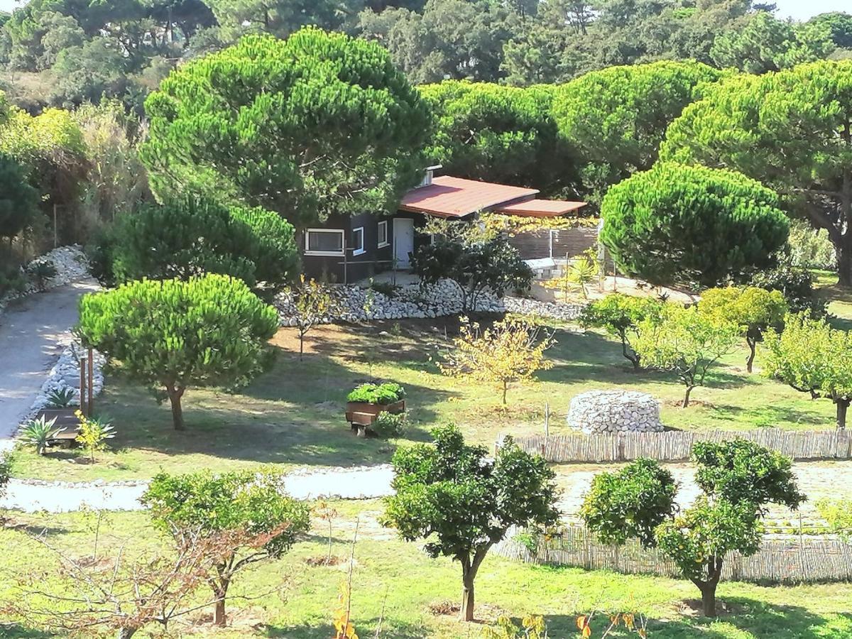 Quinta Do Meco - Beach & Nature Aldeia do Meco Exteriör bild
